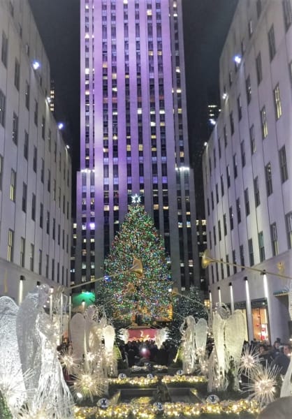 view of Rockefeller Center tree through Channel Gardens
