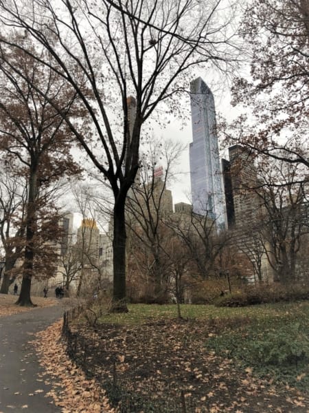 Central Park at Christmas