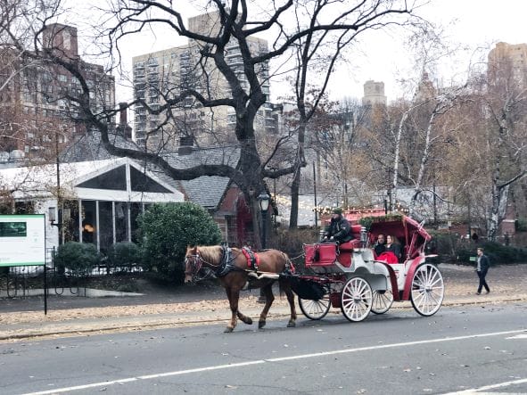 Carriage ride through Central Park at Christmas