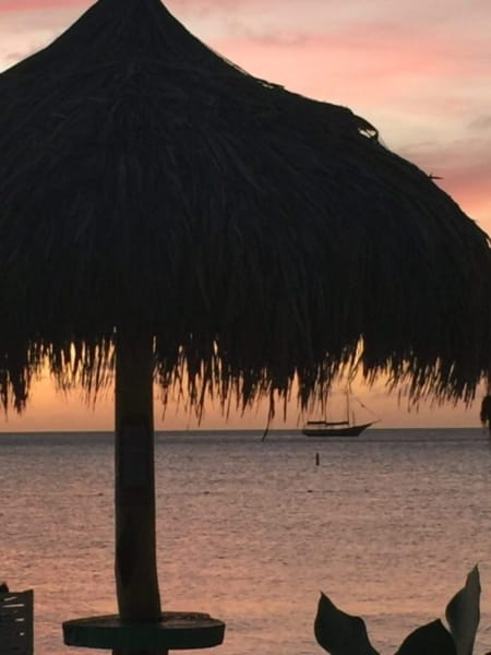 Palapa on the Aruba beach