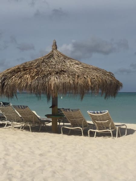 Aruba palapa