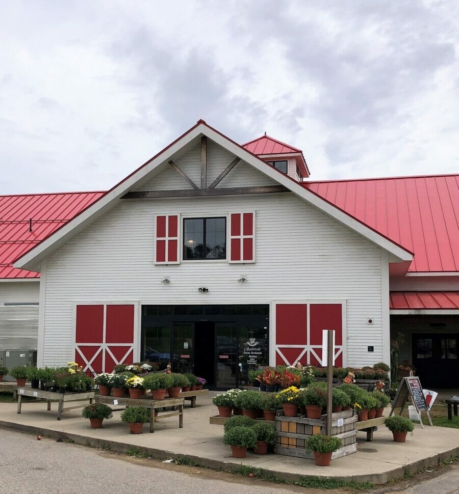 New Hampshire Apple Orchard