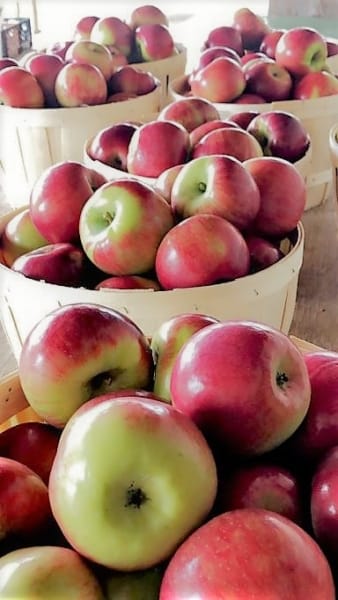 new hampshire apples