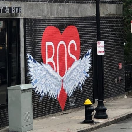 Boston heart