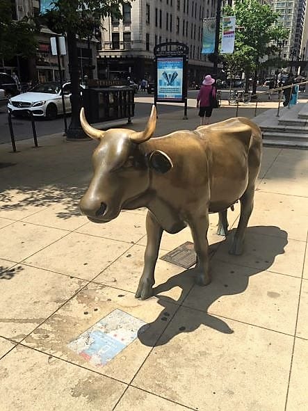 Magnificent Mile in Chicago