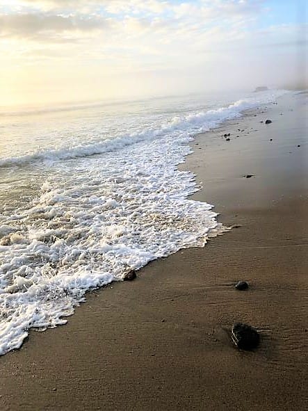 Cape Cod Beach