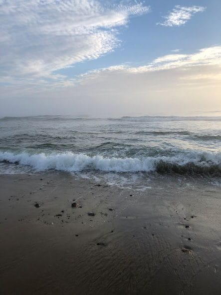 Cape Cod Beach