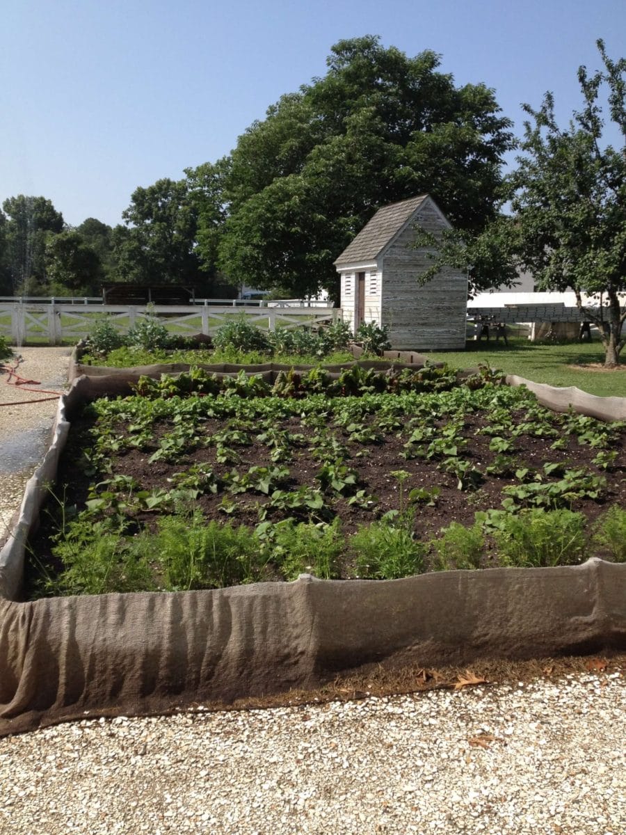 plantation in Colonial Williamsburg
