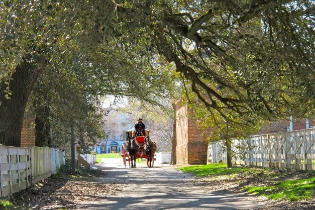 Colonial Williamsburg horse carriage on a paved path