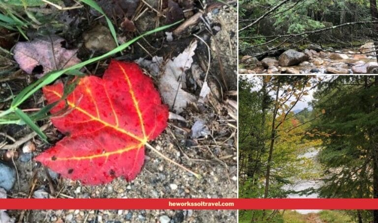 Kancamagus Highway fall foliage cover photo