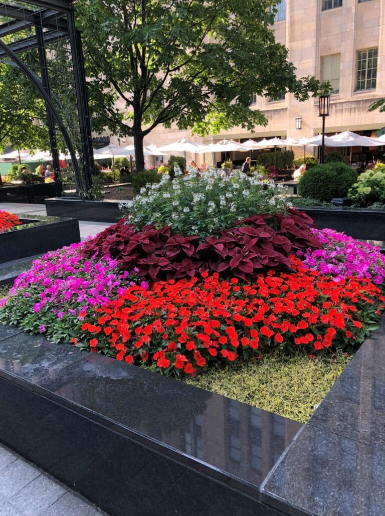 Magnificent Mile in Chicago