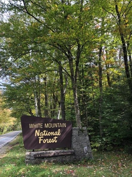 White Mountain National Forest sign