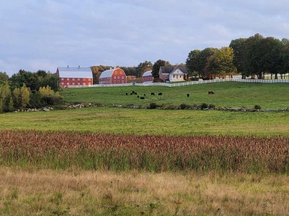 New Hampshire Farms on route from Boston to Stowe VT