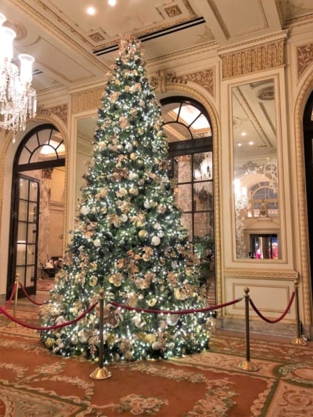 The Plaza Hotel near Central Park