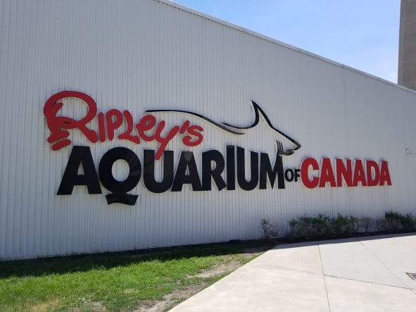 Ripley's Aquarium of Canada on Toronto CityPass