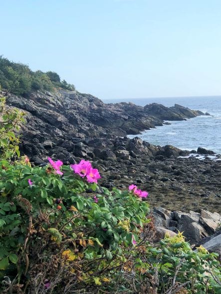 Coastal towns of Maine - Ogunquit