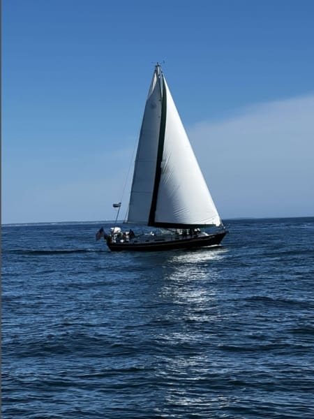 Maine sailboat