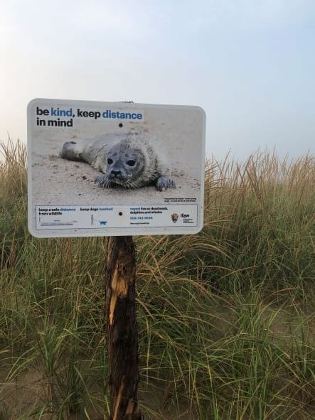 Cape Cod wildlife sign
