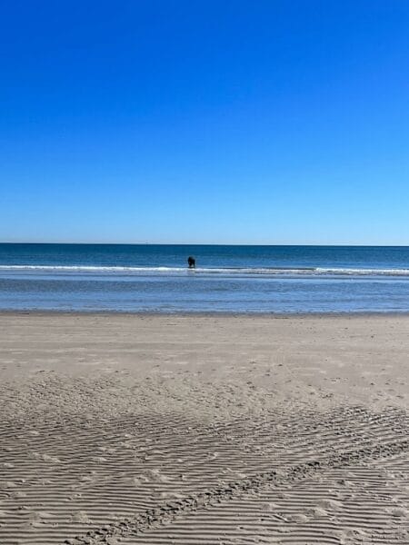 calm beach in Port Aransas