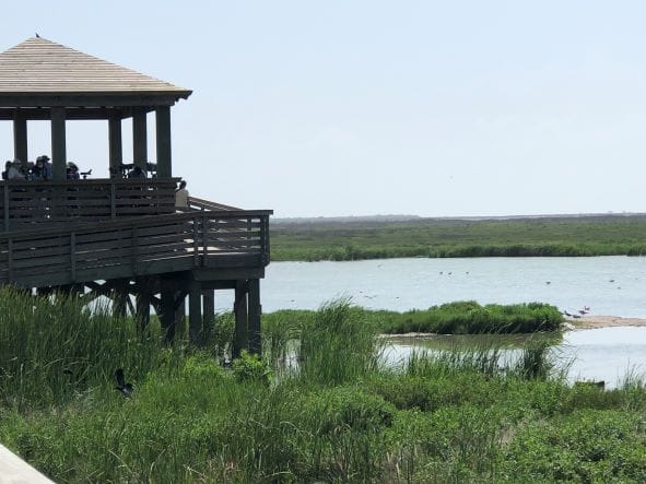 Birding center in Port Aransas, Texas