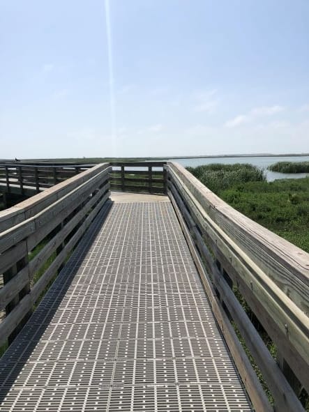 things to do in Port Aransas boardwalk to birding center