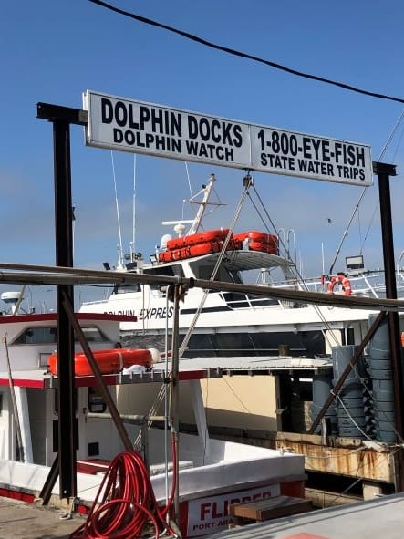 dolphin docks dock in Port Aransas