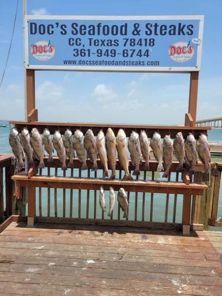 catch at dock in Port Aransas fishing