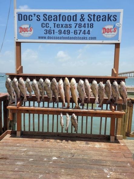 catch at dock in Port Aransas fishing