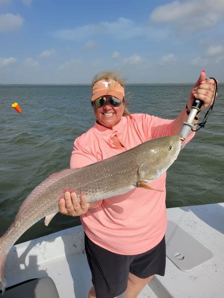 Catching whitings, gafftops, skipjacks in Port Aransas