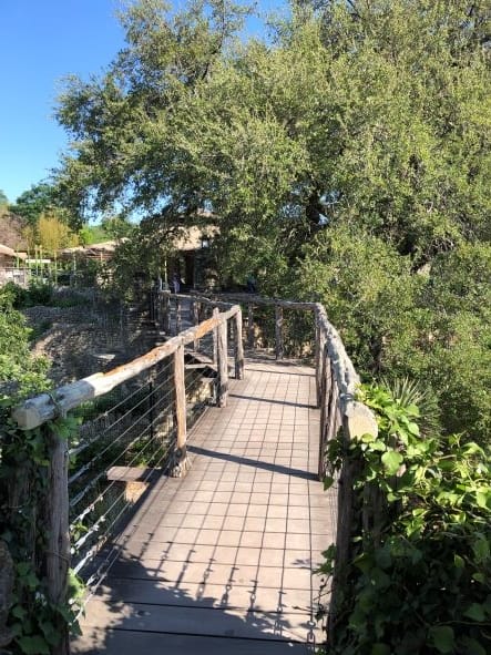 San Antonio Sunken Garden elevated path
