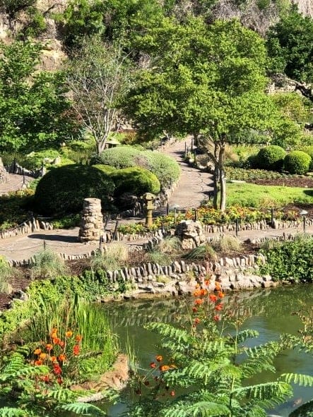 ponds with greenery at Sunken Gardens