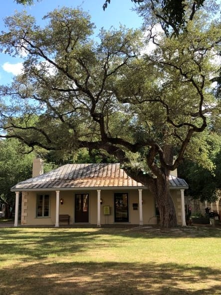 Cafe at Witte Museum