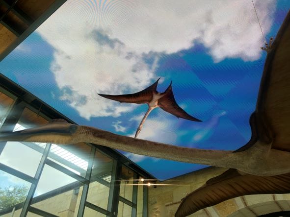 dinosaur sailing overhead at Witte Museum entrance