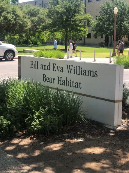 bear habitat sign on Baylor's campus