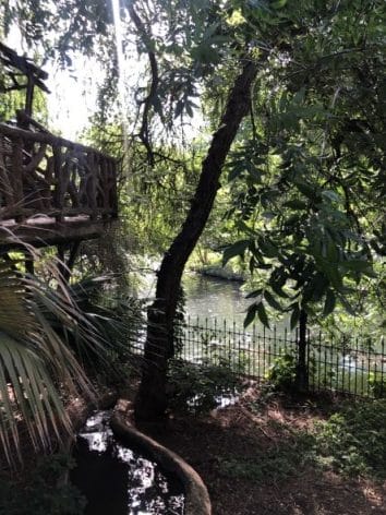 Riverwalk view from Witte Museum