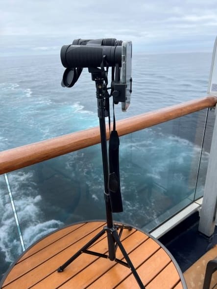 best binoculars for whale watching
