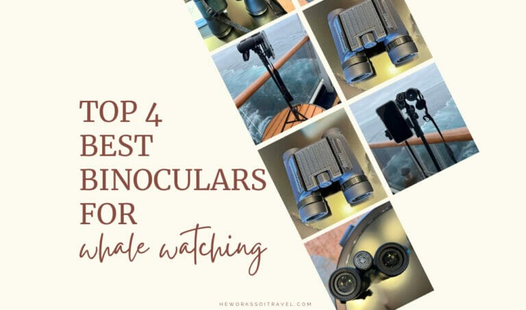 Top 4 Best Binoculars for Whale Watching