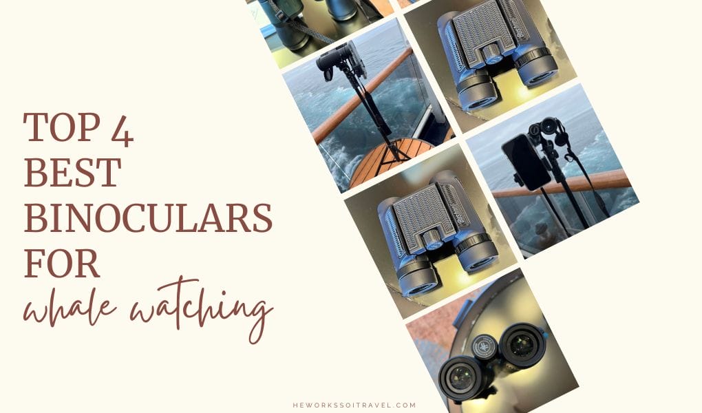 Top 4 Best Binoculars for Whale Watching in Alaska He Works So I Travel