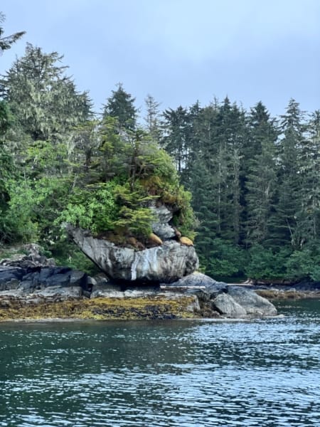 Sitka national forest in Alaska