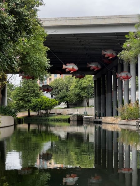 Fish art installation San Antonio Riverwalk