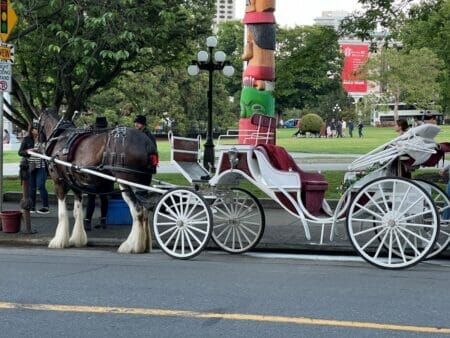 horse carriage in Victoria BC