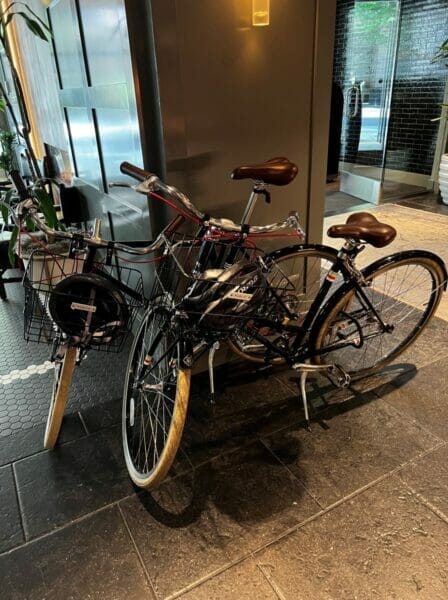 Hotel Theodore bikes