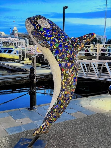Orca mosaic at night in Victoria cruise port