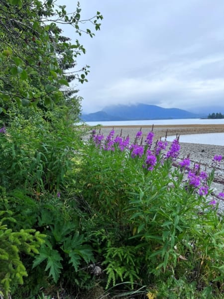 Sitka beach