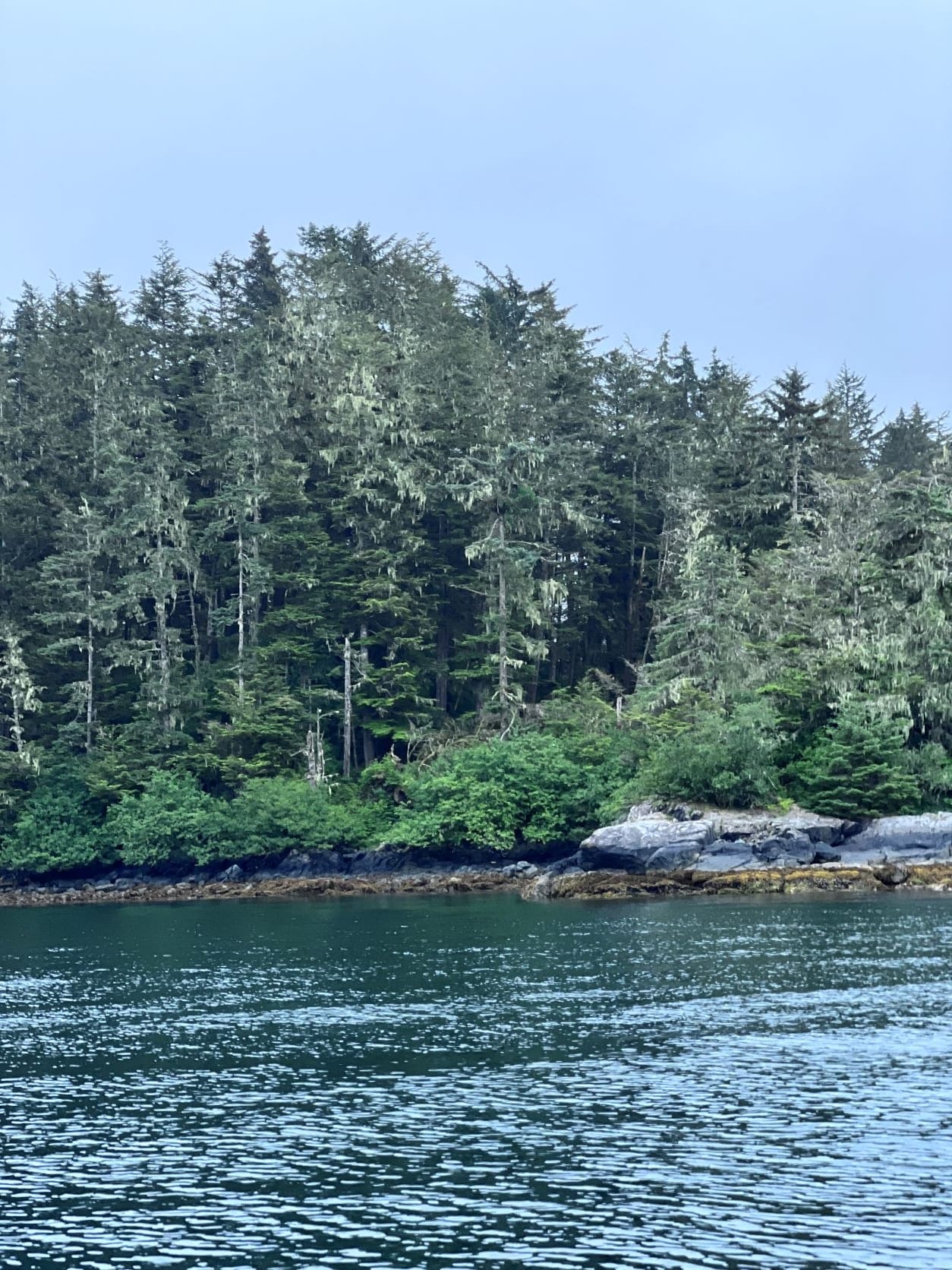 zodiac tour to fin island lodge