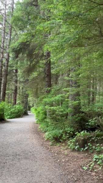 Sitka National Historical Park trails at Sitka Alaska Cruise port