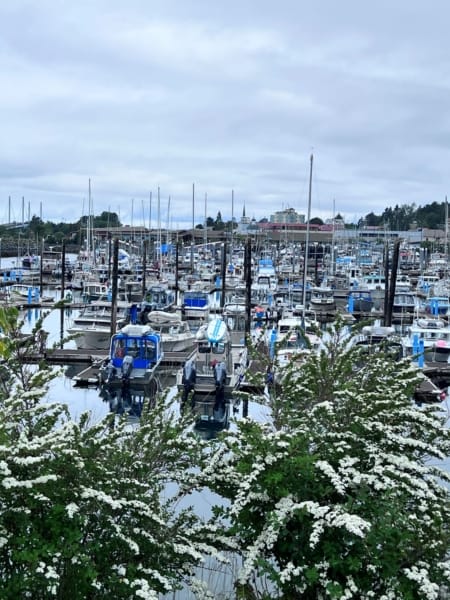 Sitka Waterfront Marina