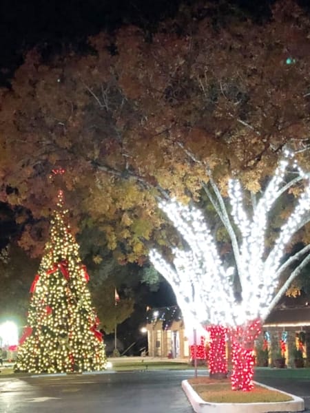 San Antonio Christmas Lights