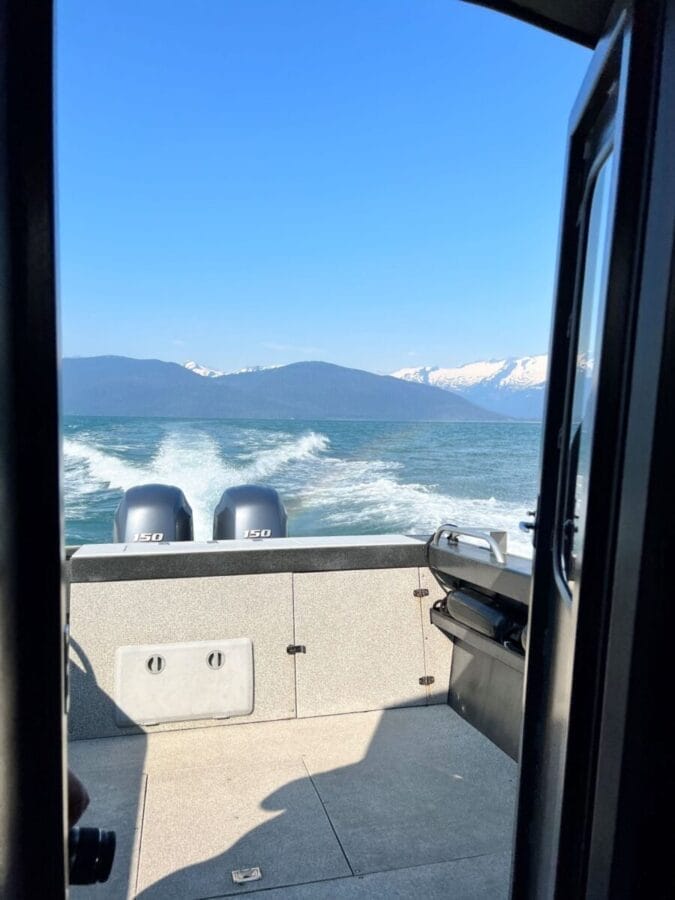 Juneau whale watching boat