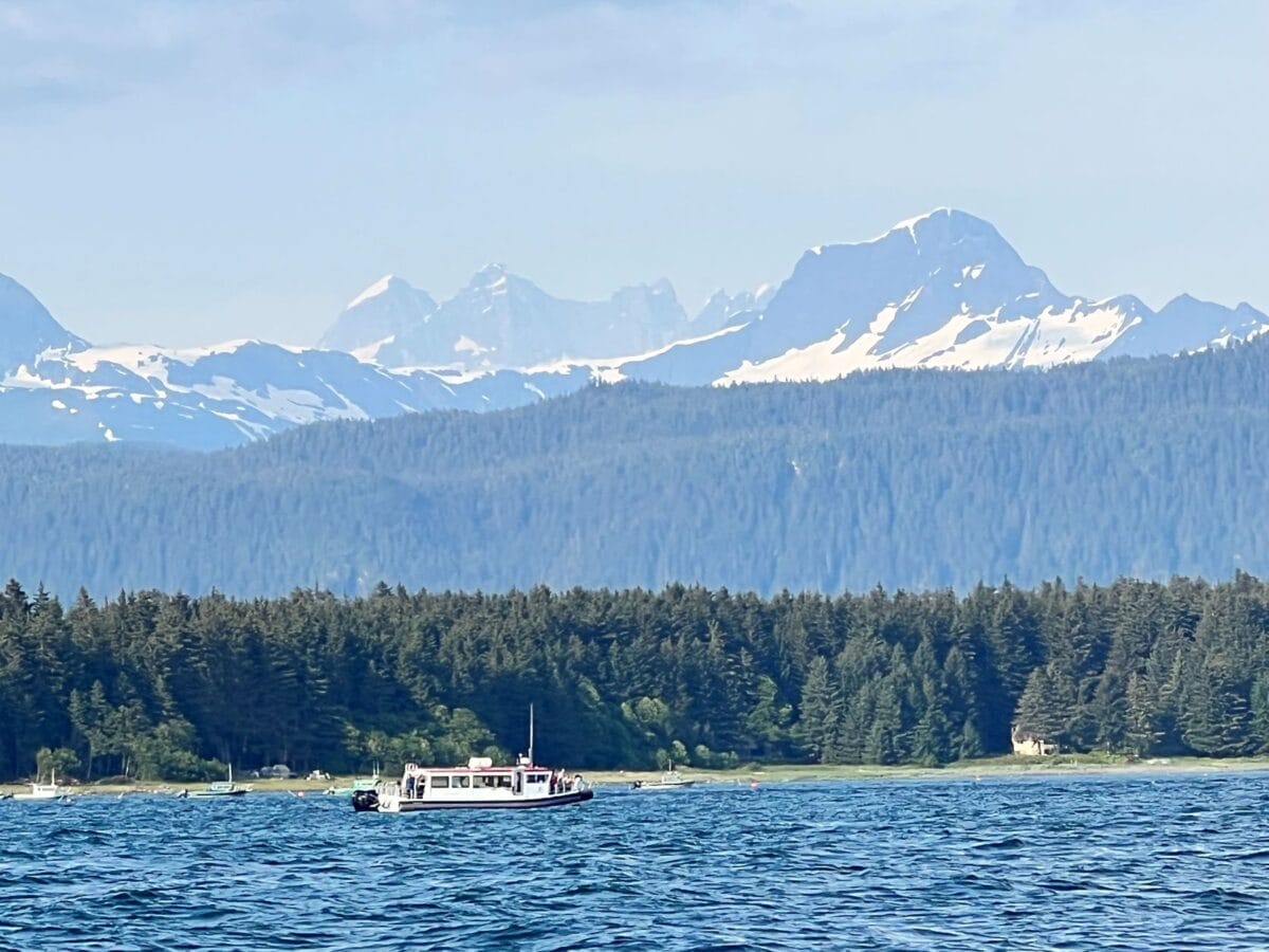 Juneau whale watching tour